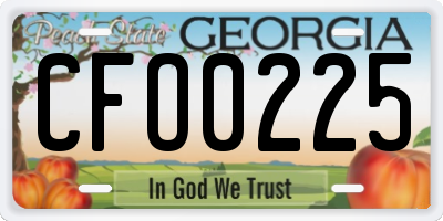 GA license plate CFO0225