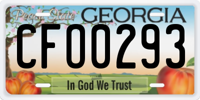 GA license plate CFO0293