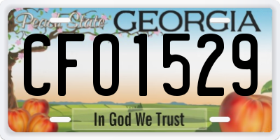 GA license plate CFO1529