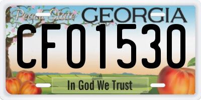 GA license plate CFO1530