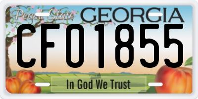 GA license plate CFO1855