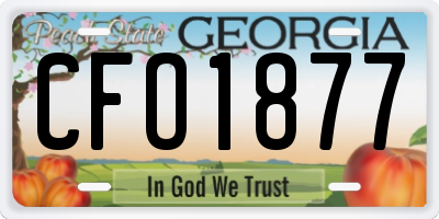 GA license plate CFO1877