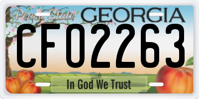GA license plate CFO2263