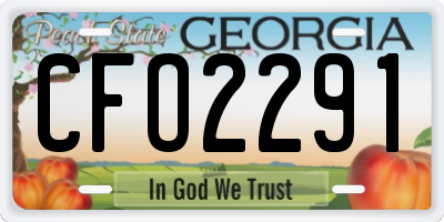 GA license plate CFO2291