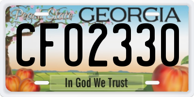 GA license plate CFO2330