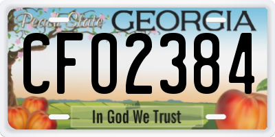 GA license plate CFO2384