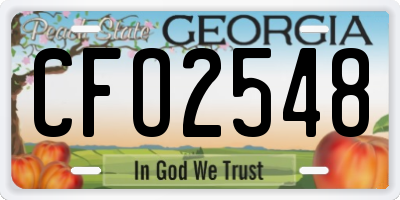 GA license plate CFO2548