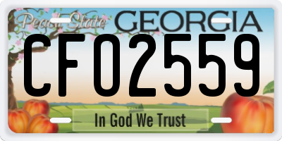 GA license plate CFO2559