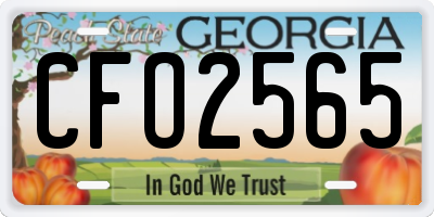 GA license plate CFO2565