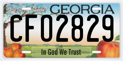 GA license plate CFO2829