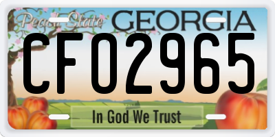 GA license plate CFO2965