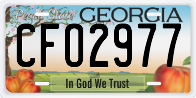 GA license plate CFO2977
