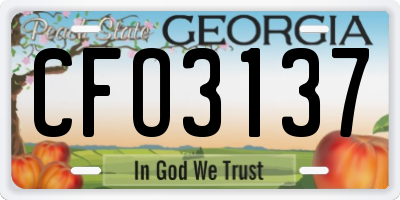 GA license plate CFO3137