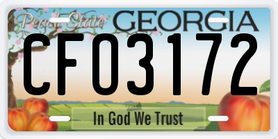 GA license plate CFO3172