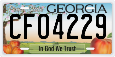 GA license plate CFO4229