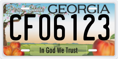 GA license plate CFO6123