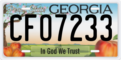 GA license plate CFO7233