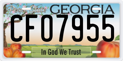 GA license plate CFO7955