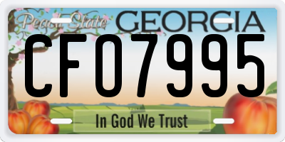 GA license plate CFO7995