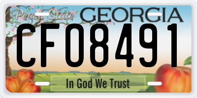 GA license plate CFO8491