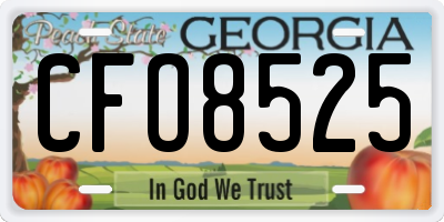 GA license plate CFO8525