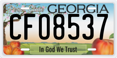 GA license plate CFO8537