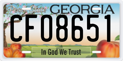 GA license plate CFO8651