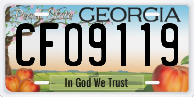 GA license plate CFO9119