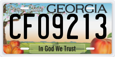 GA license plate CFO9213