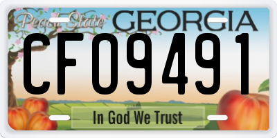 GA license plate CFO9491