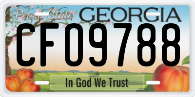 GA license plate CFO9788