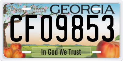 GA license plate CFO9853