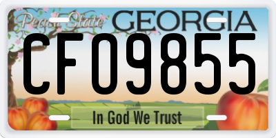 GA license plate CFO9855