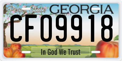 GA license plate CFO9918