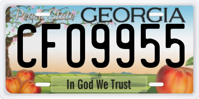GA license plate CFO9955