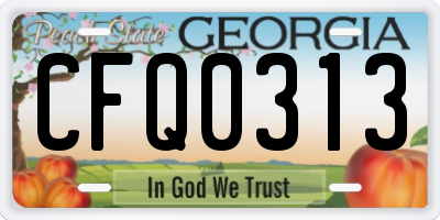GA license plate CFQ0313