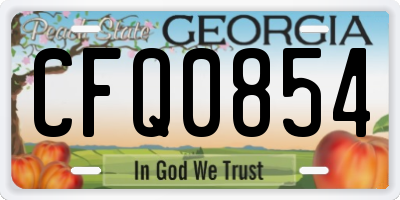 GA license plate CFQ0854