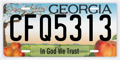 GA license plate CFQ5313