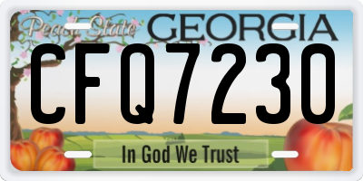 GA license plate CFQ7230