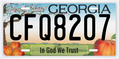 GA license plate CFQ8207