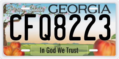 GA license plate CFQ8223