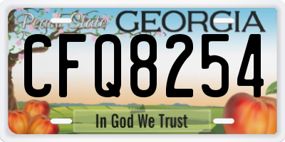 GA license plate CFQ8254