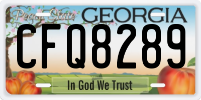 GA license plate CFQ8289