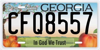GA license plate CFQ8557