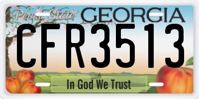 GA license plate CFR3513