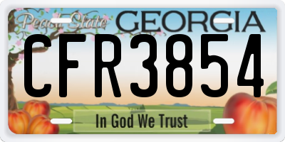 GA license plate CFR3854