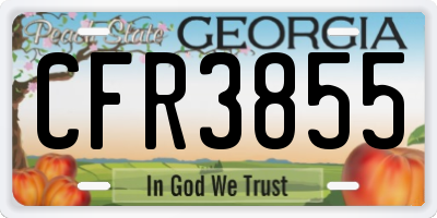 GA license plate CFR3855
