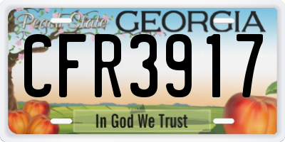 GA license plate CFR3917