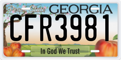 GA license plate CFR3981