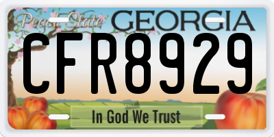 GA license plate CFR8929